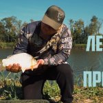 Суперская насадка для осеннего карася на дикаре. Трофейный карась на диком водоеме. Секреты ловли.