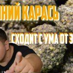 Лучшая прикормка для осеннего карася своими руками. Рецепт. Убийца осеннего карася. Легко и просто.