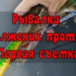 Рыбалка в Волжских протоках. Первая съемка.