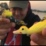Разловили утенка !!! Щуку видно под водой. Класс !!! Буря эмоций !!! DUCK FISHING  !!!