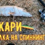 Рыбалка на спиннинг в пойме реки Ахтуба. Жор щуки. Ахтуба октябрь 2020