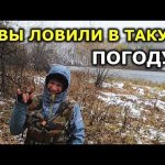 И это ОСЕННИЙ ЖОР!?? Рыбалка в октябре.  Рыбалка осенью. Рыбалка на спиннинг осенью