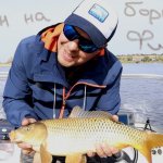 Сазан на бортовой фидер поздней осенью.