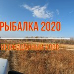 Рыбалка в Астраханской области.Вытащил удочку в клеточку. Неудачная ловля щуки. Рыбалка ноябрь 2020