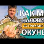 Рыбалка на ОКУНЯ. Астрахань 2020. Приманки на ОКУНЯ КОТОРЫЕ ЛОВЯТ. Ловим НА СИЛИКОН
