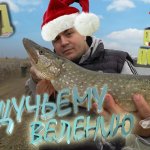 Восемь щук за 6 минут /Новогодний Конкурс/ Решил разыграть  денег среди своих подписчиков.