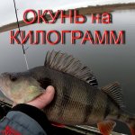 ОКУНЬ на КИЛОГРАММ | ЛОВЛЯ ЩУКИ в ХОЛОДНОЙ ВОДЕ