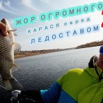 Жор КРУПНОГО карася перед ледоставом ч.2 //РЫБАЛКА БЕЗРОМАРИО//