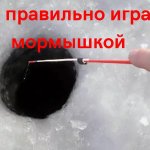 Правильная игра мормышкой