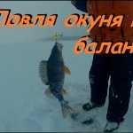 Ловля окуня зимой на балансир.  Клёв как с пулемёта !
