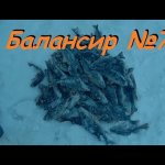 Ловля окуня зимой на балансир.  Балансир №7 Жаба