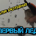 Ловля ротана. Первый лед 2020-2021. Открытие зимнего сезона.