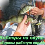 Воблеры на окуня. Собираем уловистые приманки в коробку.