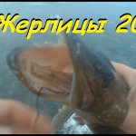 Ловля щуки на жерлицы.  Первый лёд 2020 на лесном озере.