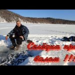 Селёдка прёт валом!!!