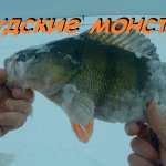 Килограммовый окунь на блесну.  Рыбалка на Чудском озере