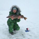В эти выходные