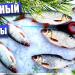 ЛОВЛЯ ПЛОТВЫ со ЛЬДА | БЕШЕНЫЙ КЛЕВ ПЛОТВЫ