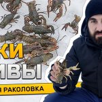 Достал забытую раколовку, очистил озеро и спас раков