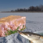 Рыба на ХОЛОДЕЦ её реакция! ПОДЛЁДНАЯ СЪЁМКА