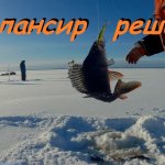 Ловля хорошего окуня зимой на балансир.  Бешеный клёв на лучший балансир !