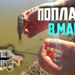 Рыбалка или День пескаря. Рыбалка на дикаре весной. Ловля на поплавок на диком водоеме. Весна 2021.