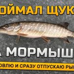 Ловля окуня от первого лица. Поймал щуку на мормышку!
