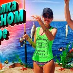 РЫБАЛКА в КРАСНОМ МОРЕ | МОРСКАЯ РЫБАЛКА с ЖЕНОЙ