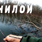 Самые популярные водоёмы ВОЛГО-АХТУБИНСКОЙ ПОЙМЫ.  Ерик Гнилой. //Рыбалка БЕЗРОМАРИО//