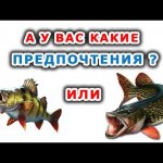 Щука или окунь!???