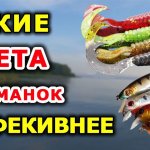 Цвет приманок. Цвета воблеров и цвета силиконовых приманок. Лучшие цвета приманок в нашем арсенале