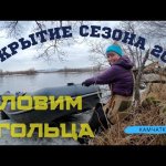 ГОЛЕЦ (лосось) НА СПИННИНГ. Открытие сезона речной рыбалки 2021 на Камчатке.