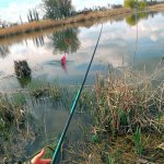 КРУПНЫЙ КАРАСЬ НА УДОЧКУ/ РЫБАЛКА 2021 ВЕСНА/ ДИКИЙ ВОДОЕМ УМЕЕТ УДИВИТЬ.
