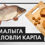 Как приготовить мамалыгу для рыбалки. УЛУЧШЕННЫЙ РЕЦЕПТ. Подходит для ловли карпа и карася