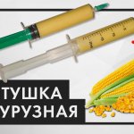 Как сделать болтушку из кукурузы. Уловистая болтушка из манки и кукурузы! Манка в шприце на карася
