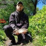 Попали на клёв КРУПНОГО КАРАСЯ на ФИДЕР | Речной карась в МАЕ