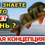 Новая концепция! Ловля окуня на спиннинг. Ловля окуня на воблеры