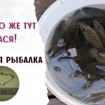 30 ШТУК ЗА 2 ЧАСА! РЫБАЛКА НА РАССВЕТЕ!