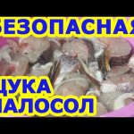 Рецепт малосольной обеззараженной щуки. Сугудай из щуки. Малосольная рыба