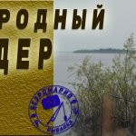 Народный фидер или 10 полезных советов начинающим.