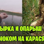 МАСТЫРКА И ОПАРЫШ С ЧЕСНОКОМ. ЛОВЛЮ КАРАСЯ НА ДОНКУ / КОРМУШКУ / ПРУЖИНУ