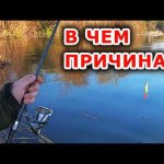 Место, руки или приманка виновата, как считаете? Рыбалка на спиннинг с берега
