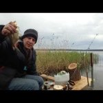 Смотреть тем, кто утверждает, что на Селигере нет рыбы