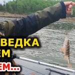 Еле поняли, почему клюёт, а не ловится! Рыбалка на спиннинг. Ловля окуня. Разведка по новым местам