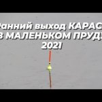 ОТКУДА ТАКИЕ ЛАПТИ В ЭТОМ ПРУДУ! Сезон по КАРАСЮ 2021 открыт!