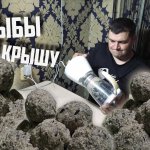 Лучшая летняя прикормка для карася, карпа, леща и всей мирной рыбы. Реально рецепт просто ОГОНЬ.