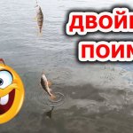 Интересно, почему он сдох... Рыбалка на озере. Ловля на спиннинг