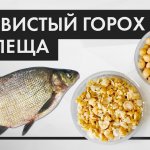 УЛОВИСТЫЙ ГОРОХ НУТ. Как правильно приготовить горох для рыбалки на ЛЕЩА, КАРПА и КАРАСЯ