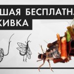 Лучшая бесплатная наживка. РУЧЕЙНИК (Шитик). Как найти и сохранить надолго