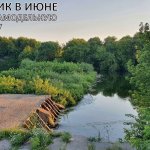 Ловля подлещика с заброшенной платины! Самодельная прикормка удивляет!